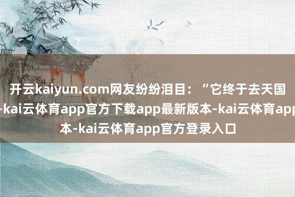 开云kaiyun.com网友纷纷泪目:“它终于去天国找主东谈主了-kai云体育app官方下载app最新版本-kai云体育app官方登录入口